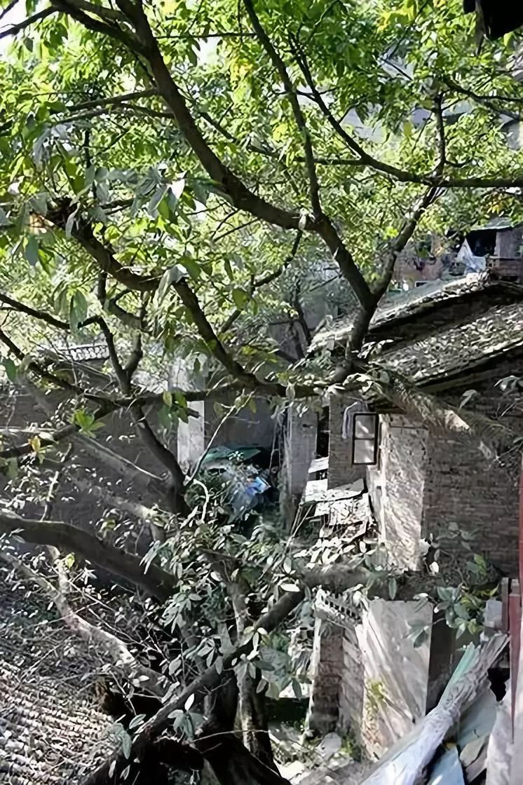 江渎街