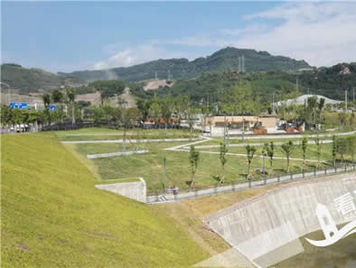 湿地公园