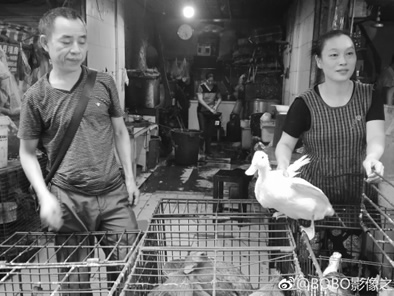 万州的菜市场是最有市井气息的