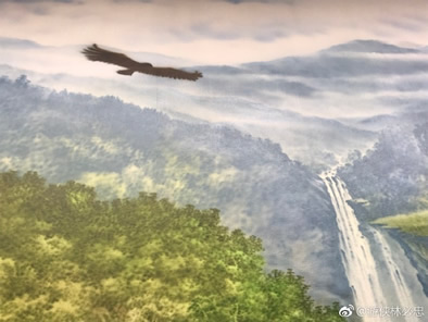 重庆三峡移民纪念馆（万州博物馆）展览大厅所展示的部分古生物