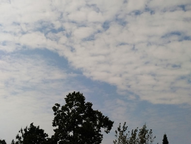 太安早晨，今日重阳，适合登高、适宜佩戴茱萸。