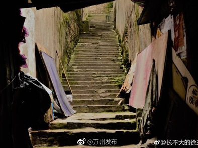 网友手机里的市井生活