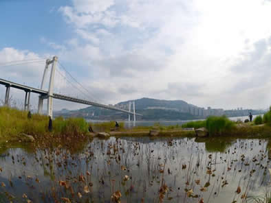 满园冬景映平湖