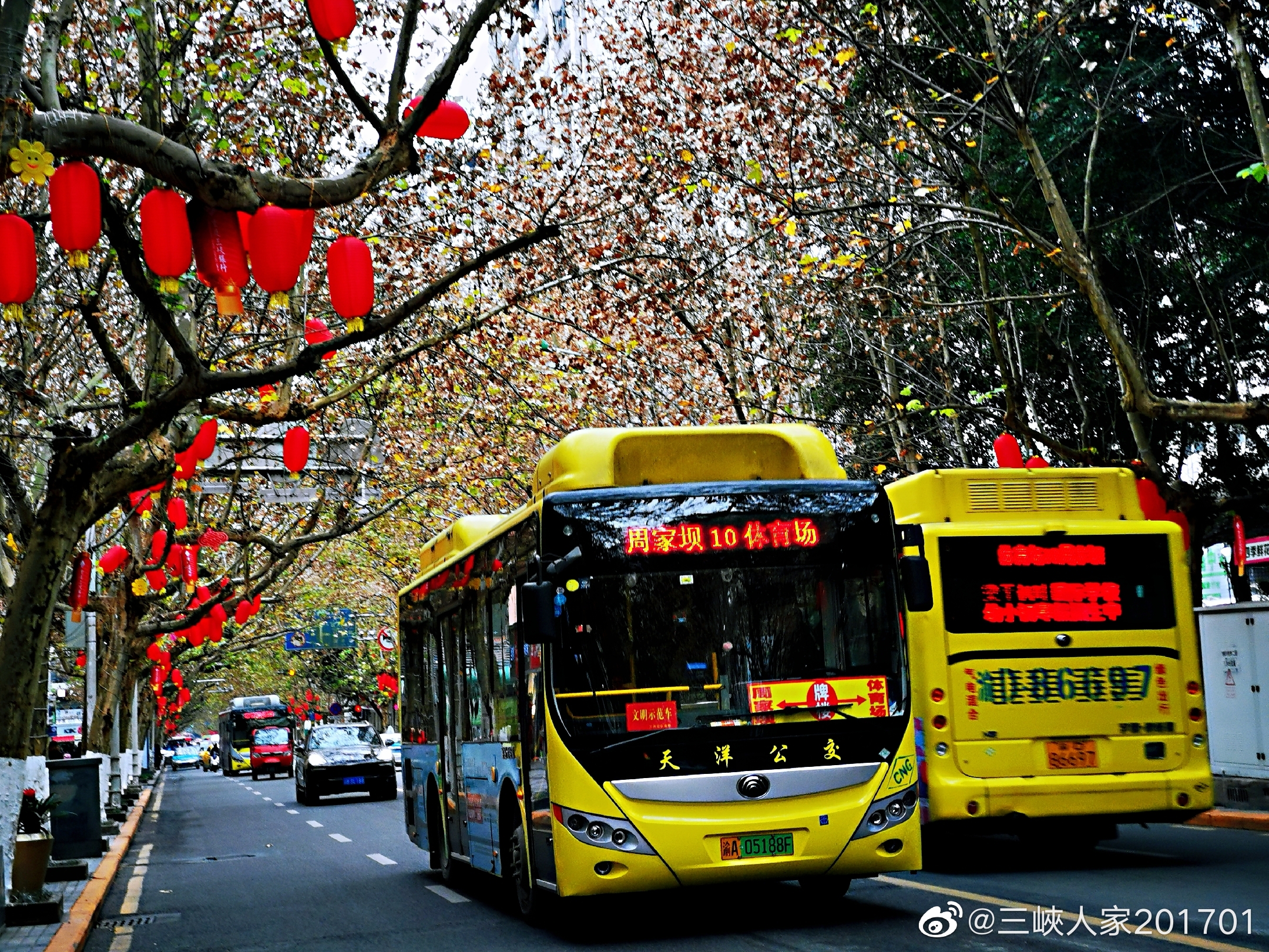 万州区白岩路树上挂着一串串红灯笼,红红的一条街,人行道上白色的,金