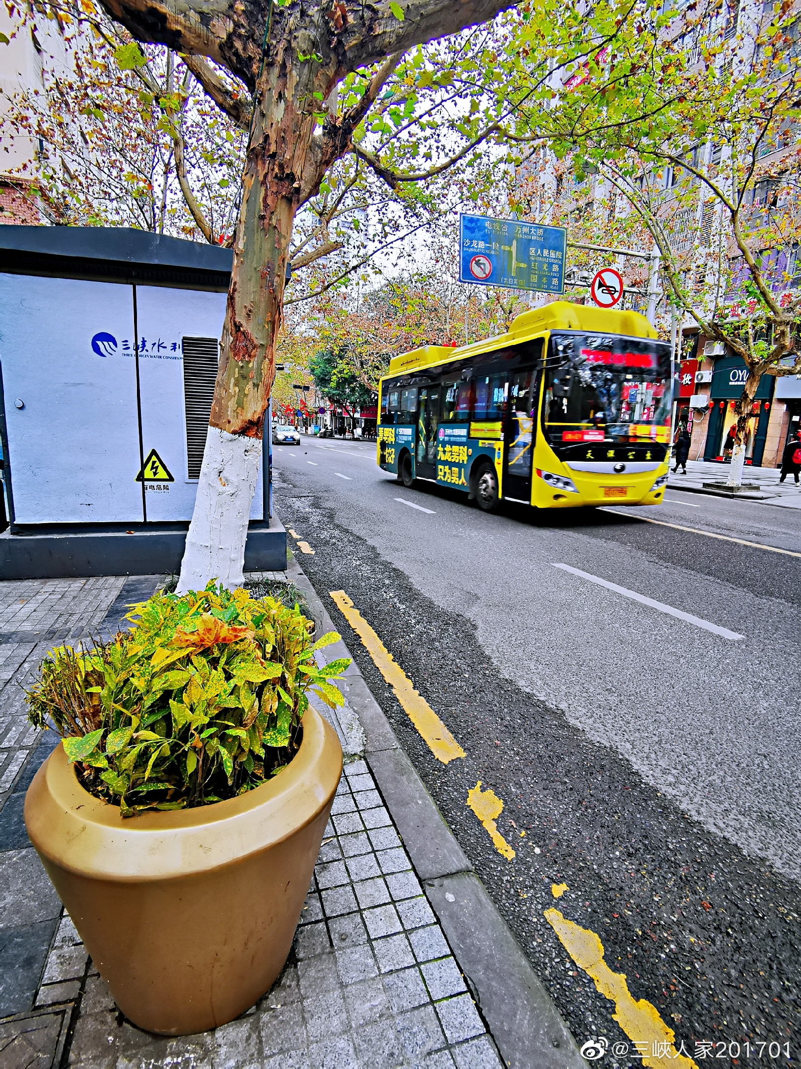 万州区白岩路树上挂着一串串红灯笼,红红的一条街,人行道上白色的,金